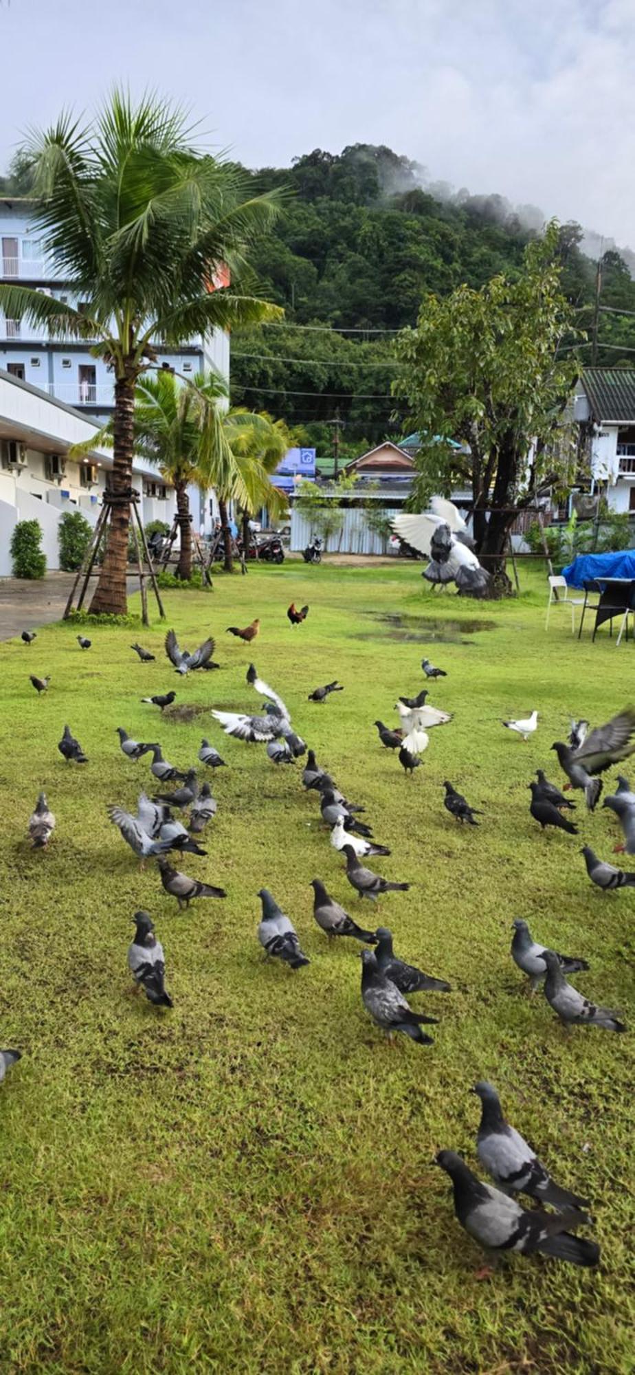 Taxim Residence Boutique Hotel Patong Dış mekan fotoğraf